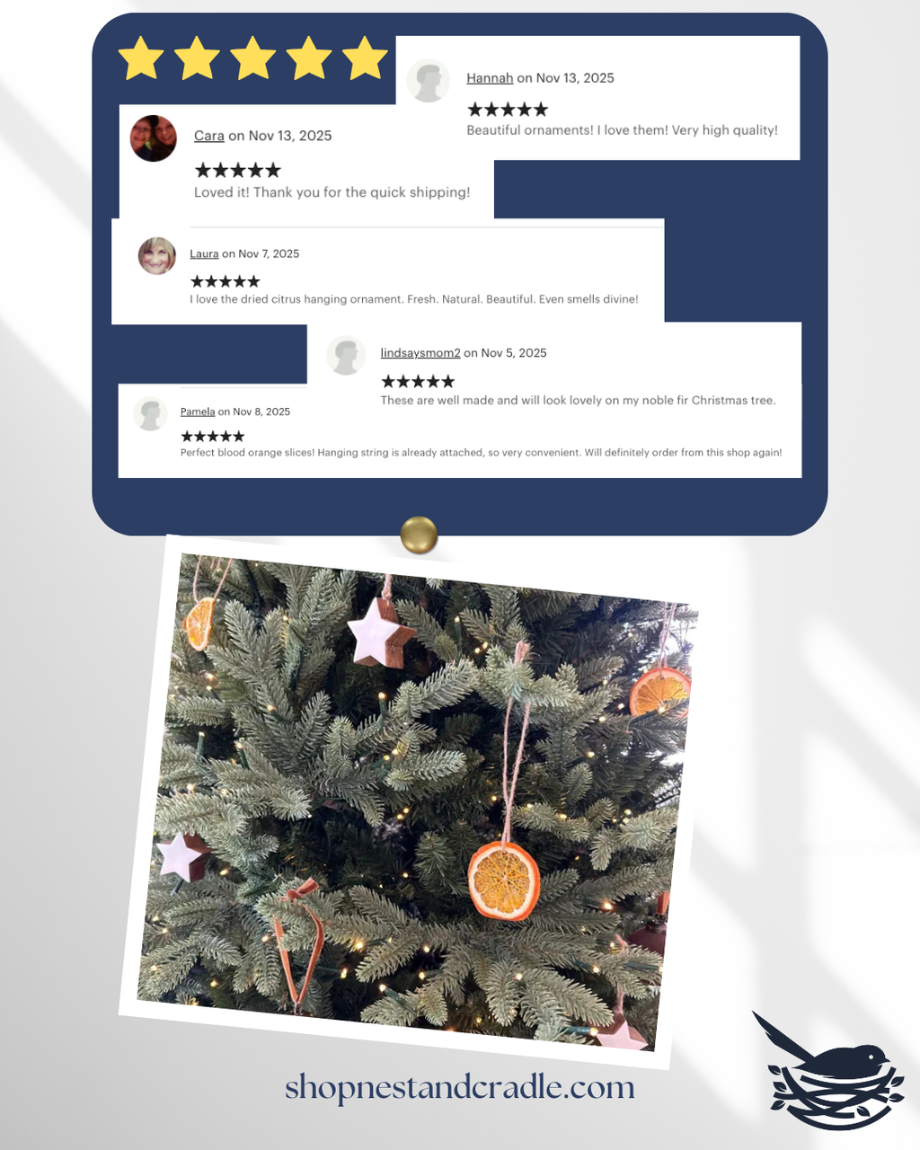 Dried Citrus Ornaments – All-Natural Orange, Lemon, Lime & Blood Orange