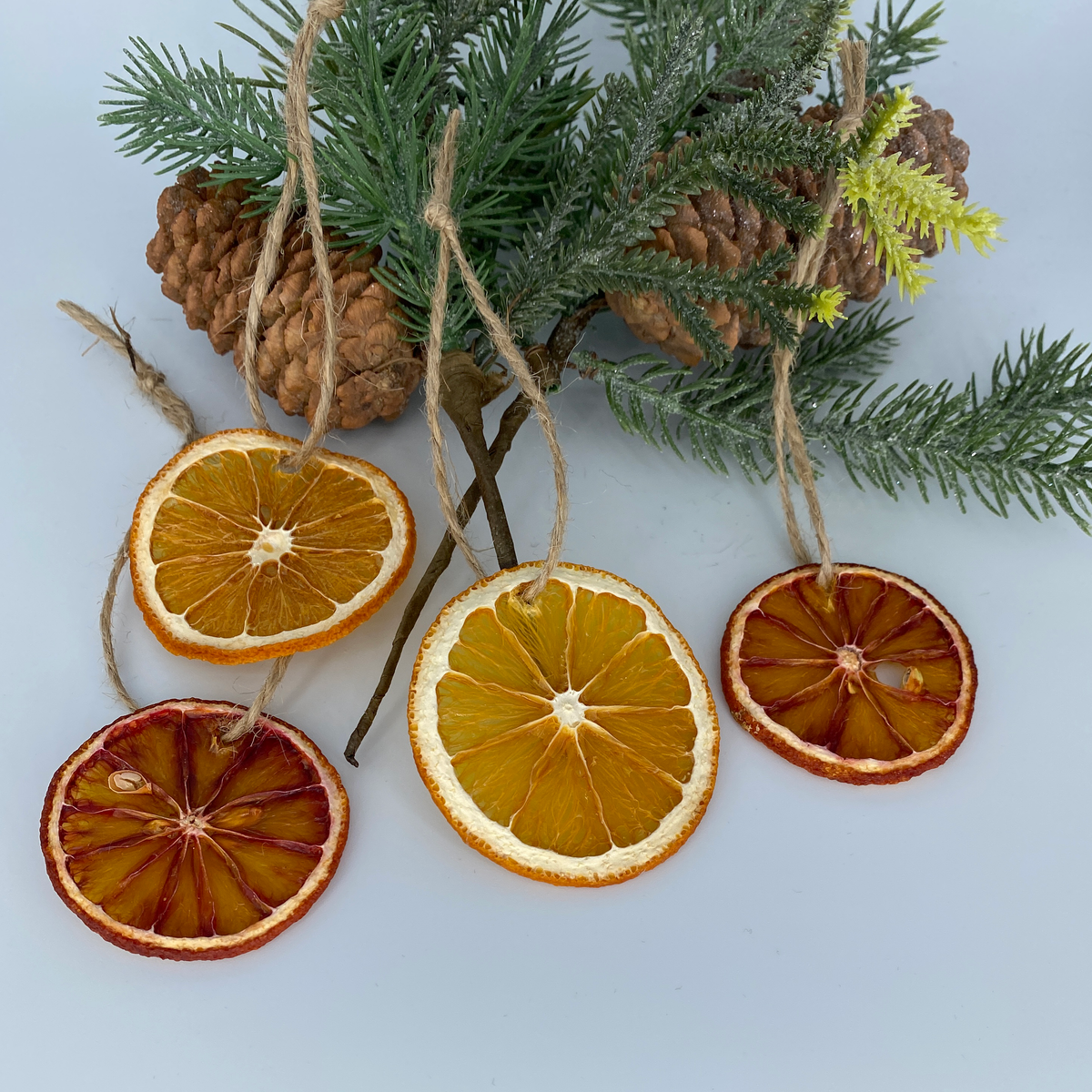 Dried Citrus Ornaments – All-Natural Orange, Lemon, Lime & Blood Orange