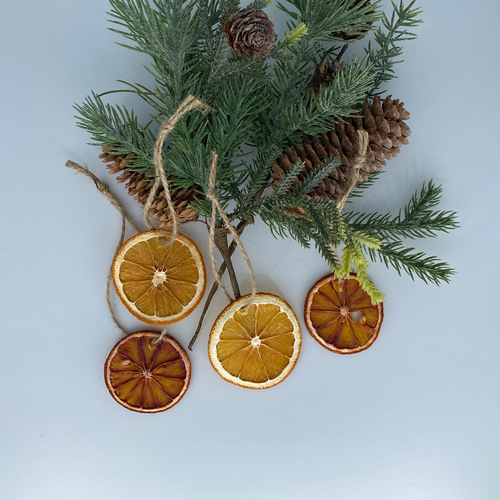 Dried Citrus Ornaments – All-Natural Orange, Lemon, Lime & Blood Orange