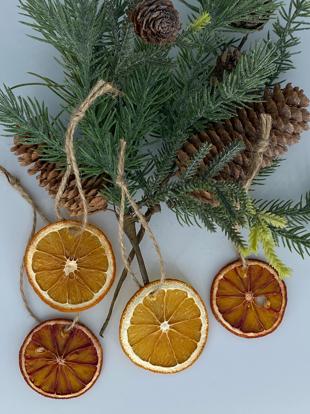 Dried Citrus Ornaments – All-Natural Orange, Lemon, Lime & Blood Orange