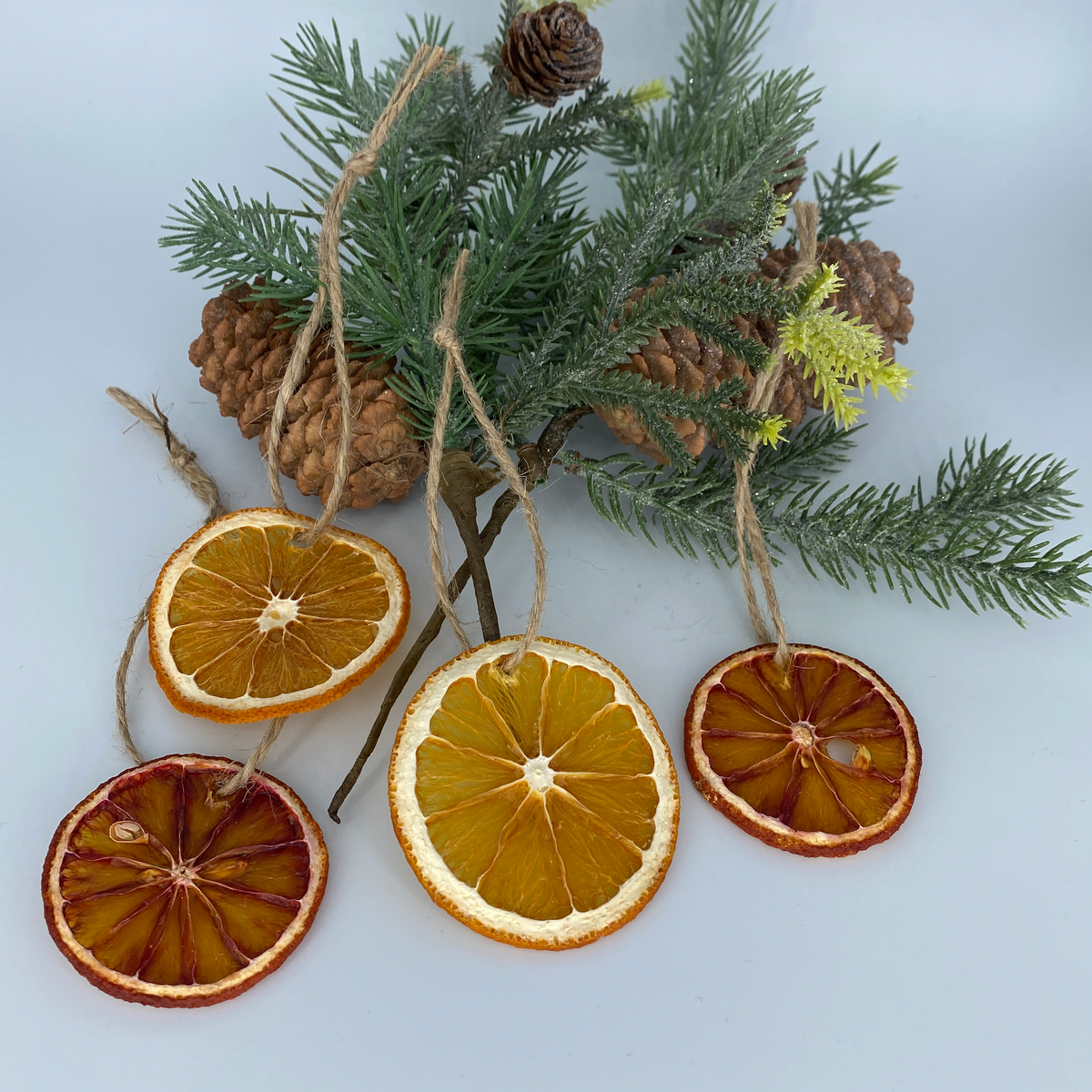 Dried Citrus Ornaments – All-Natural Orange, Lemon, Lime & Blood Orange