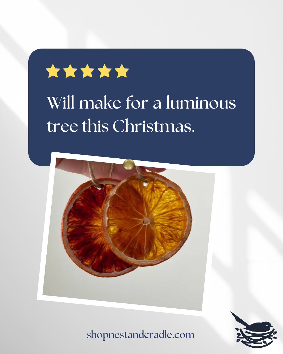 Dried Citrus Ornaments – All-Natural Orange, Lemon, Lime & Blood Orange