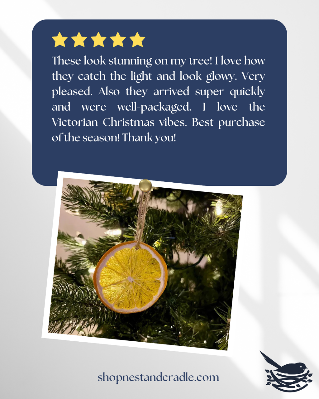 Dried Citrus Ornaments – All-Natural Orange, Lemon, Lime & Blood Orange